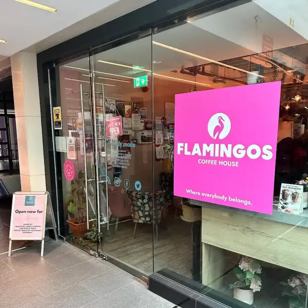 Flamingos